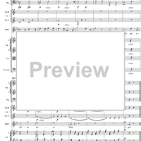 "Tiger! Wetze nur die Klauen", No. 13 from "Zaide", Act 2, K336b (K344) - Full Score