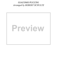 O Mio Babbino Caro (from the opera "Gianni Schicchi") (Theme)