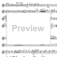 Concertino - Flute 1