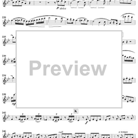 Grand Duo in B-flat Major, Op. 39, No. 2 - Flute 2