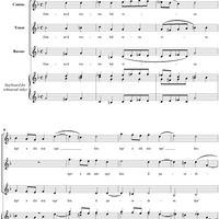 Donna il Vostro Bel Viso