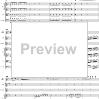 Flute Concerto No. 1 in G Major K285c (K313) - Full Score