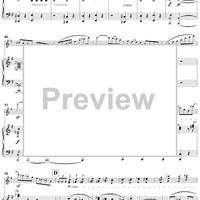 Violin Concerto in E Minor - Piano Score