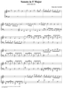 Sonata in F major - K505/P386/L326
