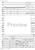 Violin Concerto No. 5 - Full Score