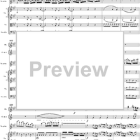 Violin Concerto No. 5 - Full Score