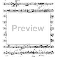 Celebration Dance (The Hashual) - Bassoon