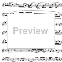 The Accomplished Clarinettist Vol. 2 - Clarinet