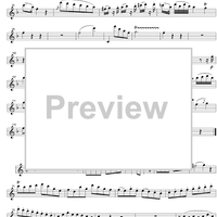 Concerto C Major KV299 - Flute