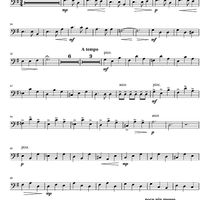 Argentinian Rhapsody - Double Bass