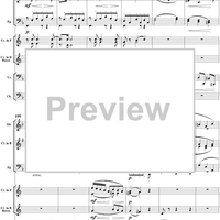Serenade in D Minor, Op. 44, B77, Movement 2 - Score