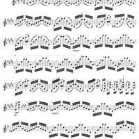 Twenty-Four Caprices: Nos. 1 - 12