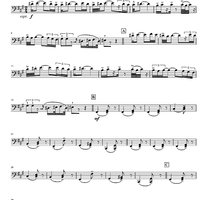 Cintec de Petrecera din Teaca - Cello