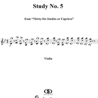 Study No. 5
