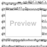 Concerto No. 5  A Major KV219 - Violin