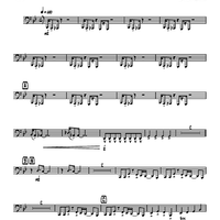 West Texas Ride - Tuba 2