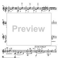 Música per a un estiu (Music for a Sommer) - Guitar