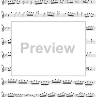 Sonata No. 6 in G Minor - Flute