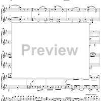 Suite No. 3 for Orchestra. Part 3. Scherzo