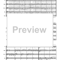 Reflections Of Life - Score