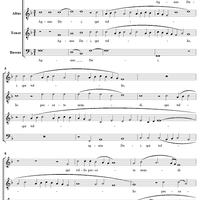 Missa Carminum: Agnus Dei