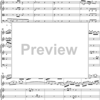 Double Violin Concerto - Score