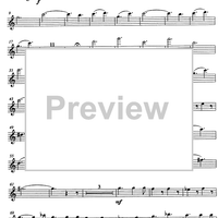 Quodlibetrio - Flute