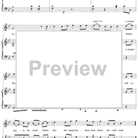 The Traveller Benighted