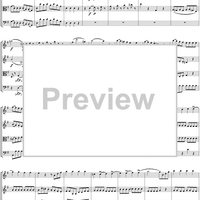 Eine kleine Nachtmusik - Score