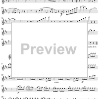 String Quintet No. 5 in D Major, K593 - Violin 1