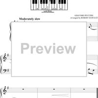 Un Bel Di (from the opera "Madama Butterfly") (Theme)