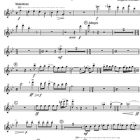 Concertino - Piccolo