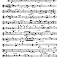 Moderate 2/4 - Waltz - Clarinet