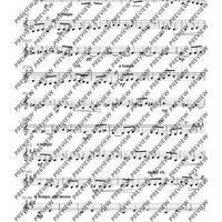 Missa Argentina - Violin 2