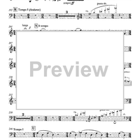 The Loneliest Wilderness - Elegy for Cello and Orchestra - Cello