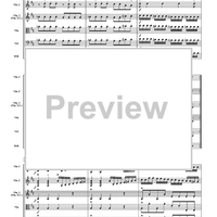 Allegro from Concerto in D Major - Score