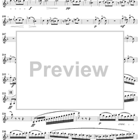 Clarinet Concertino in E-flat Major, Op. 26 - Clarinet