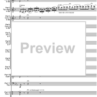 Carnival of Venice - Fantasia Brillante - Score