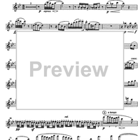 Réminiscences - Flute