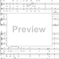 You Black Bright Stars