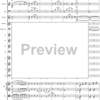 Mass in C Major, No. 6: Agnus Dei - Full Score