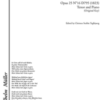 Die liebe Farbe Op.25 No.16 D795