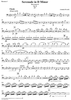 Serenade in D Minor, Op. 44, Movement 4 - Bassoon 1