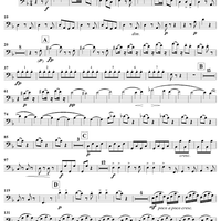 Serenade in D Minor, Op. 44, Movement 4 - Bassoon 1