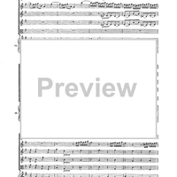 Double Concerto for Recorder and Flute in E minor - Score