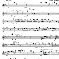 Concertino - Flute 1