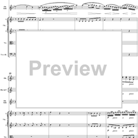 Oboe Concerto in C Major, HobVIIg/C1 Movement 2 - Full Score