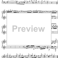 Concerto g minor BWV 975