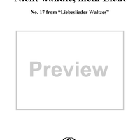 17. Nicht Wandle, Mein Licht