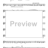 Quintet No. 3, Op. 7 - Horn